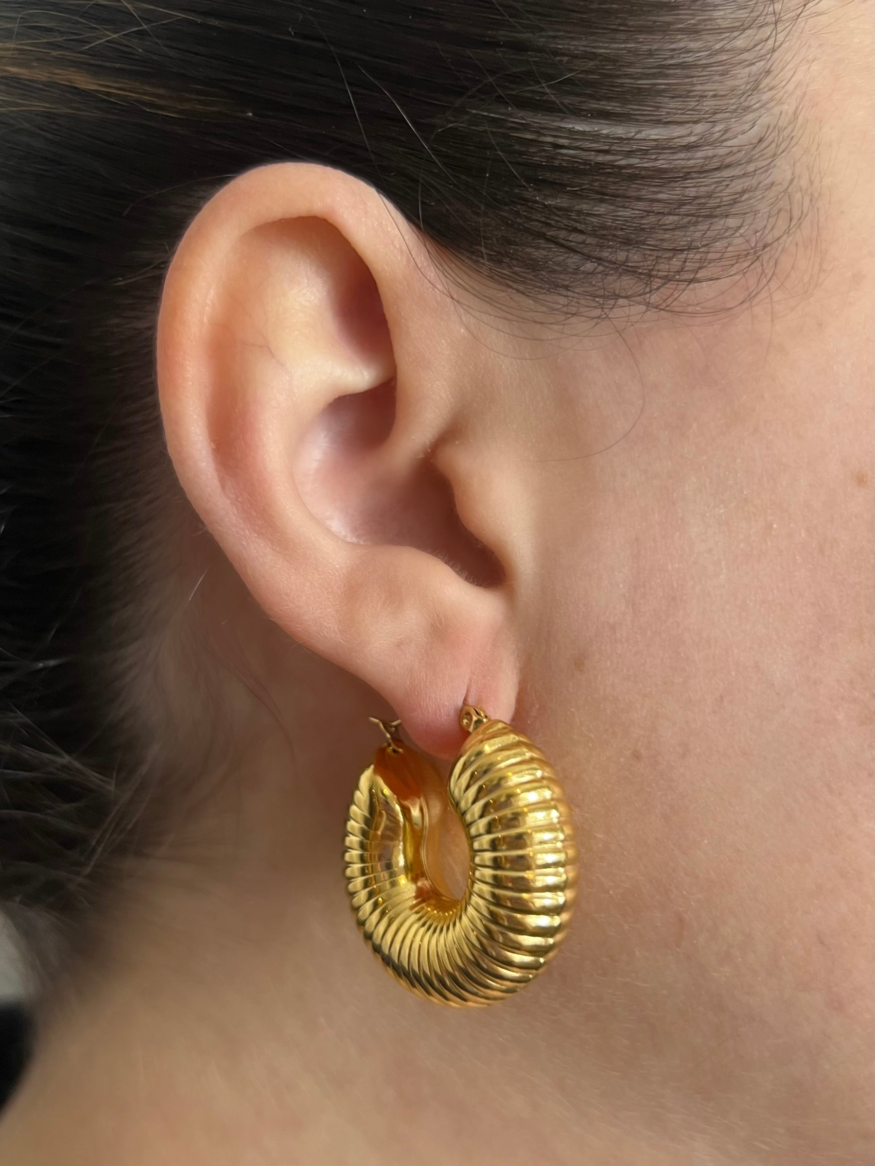Arracadas Wire