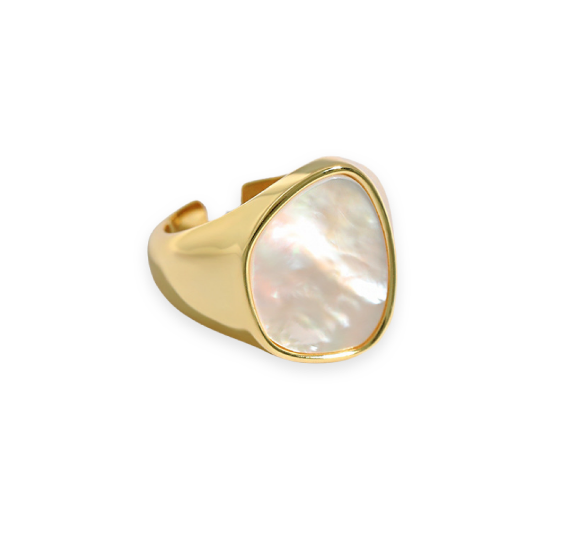 Anillo con Concha