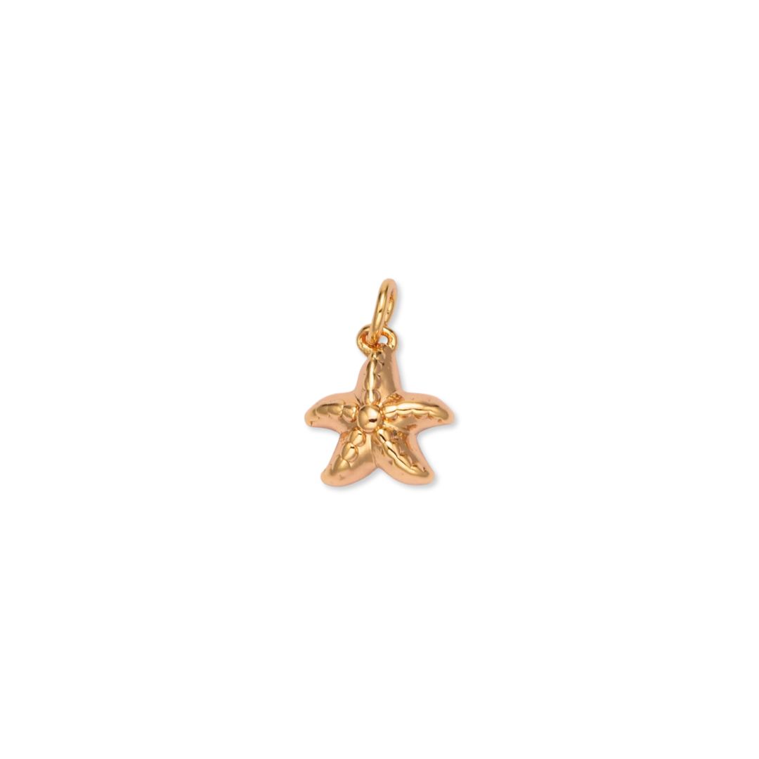 Dije Mini Estrella de Mar