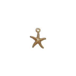 Dije Mini Estrella de Mar para Charm