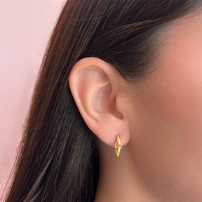 Aretes Link