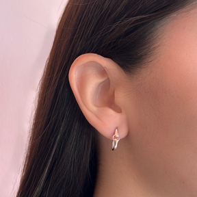 Aretes Link