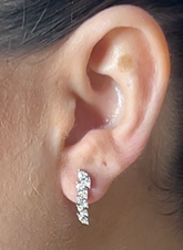 Aretes Hojas 14k 5 Lab Diamond