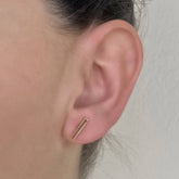 Arete Barra de Plata